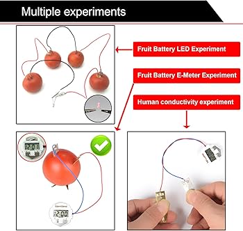 Amazon.com: EUDAX Fruit Battery Science Experiment Kit with